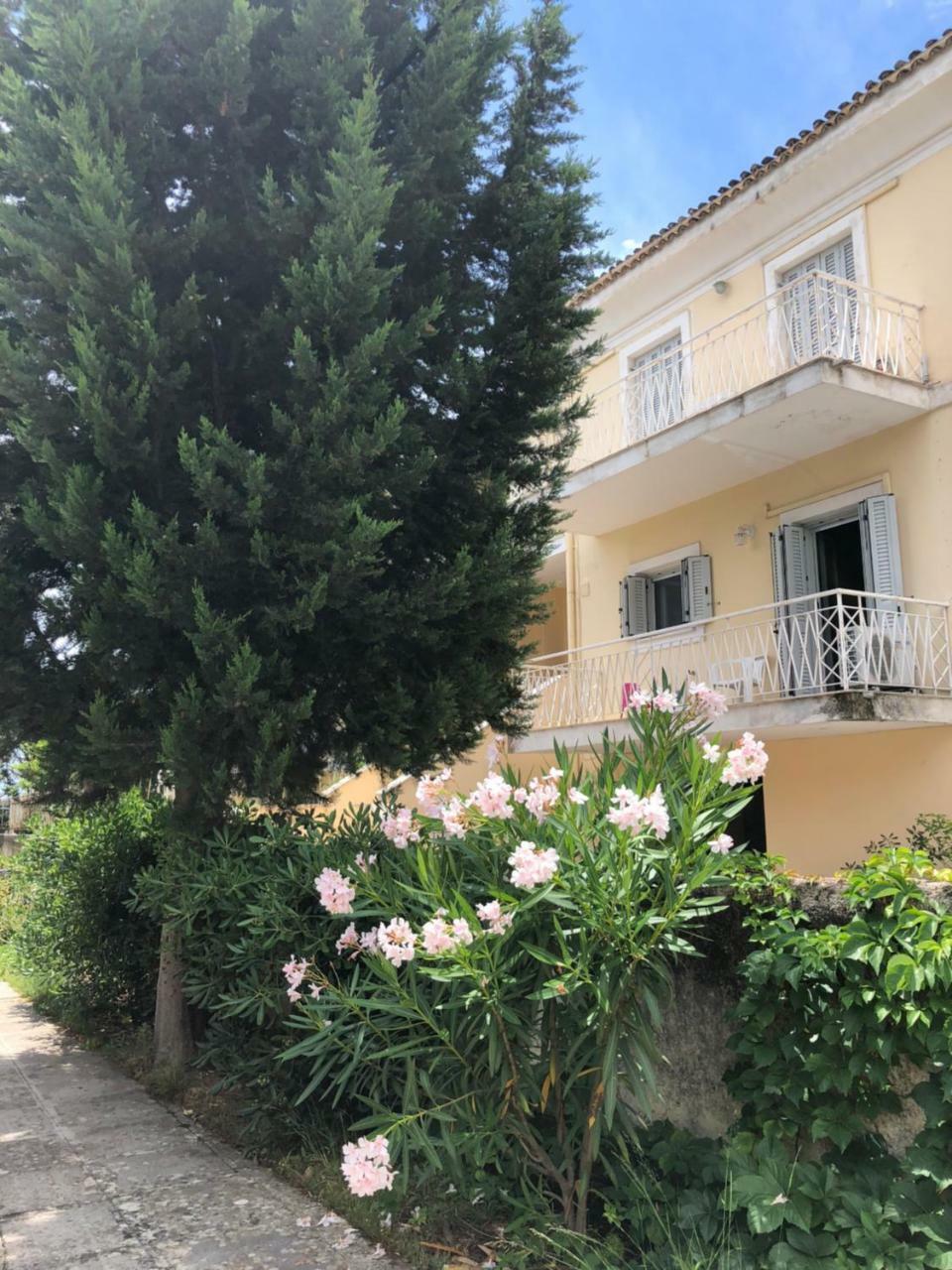 Gregos Rooftop Suite City Center w. Sea View Corfu  Zewnętrze zdjęcie